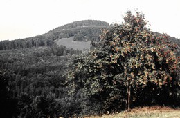 Kaltenberg